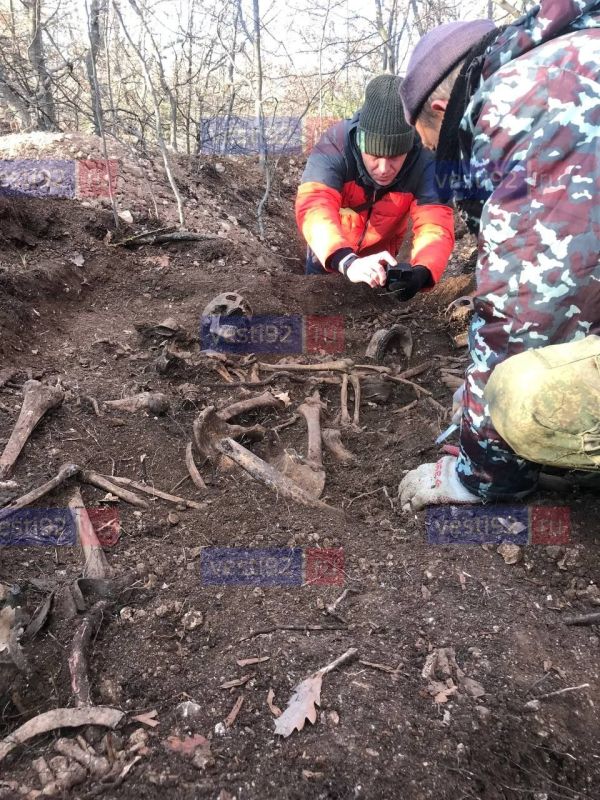 В ходе поисковых работ, которые проходили 21 февраля в Севастополе, "ПО Севастополь" были обнаружены останки воинов Красной Армии и Краснофлотцев В ходе поисковых работ, которые проходили 21 февраля в Севастополе, "ПО Севастополь" были обнаружены останки воинов Красной Армии и Краснофлотцев