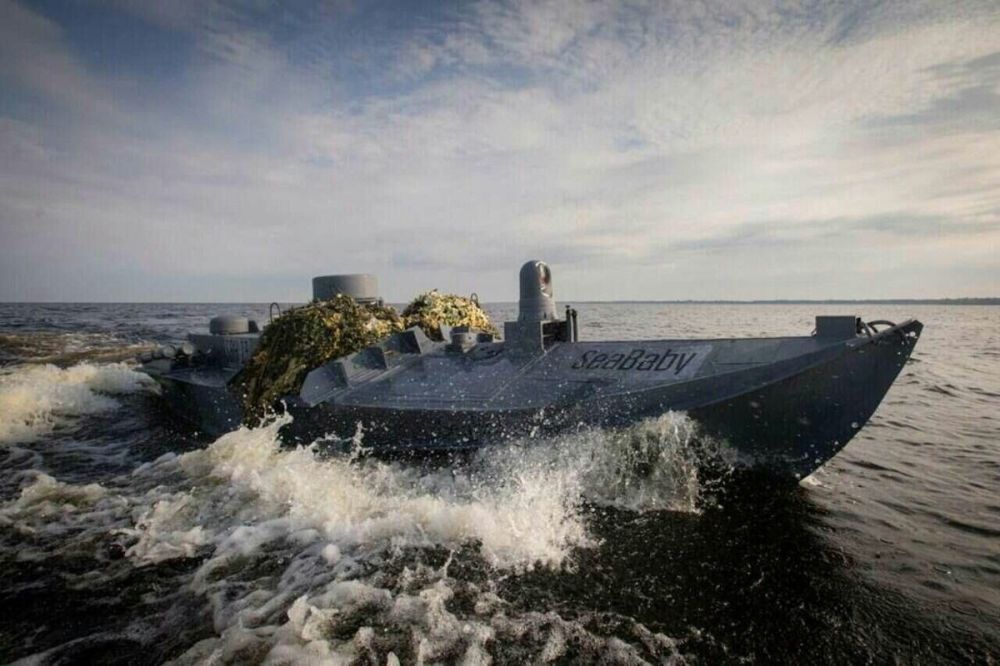 Два майора: Военно-морские силы Украины работают над созданием средств защиты акватории от морских дронов Два майора: Военно-морские силы Украины работают над созданием средств защиты акватории от морских дронов