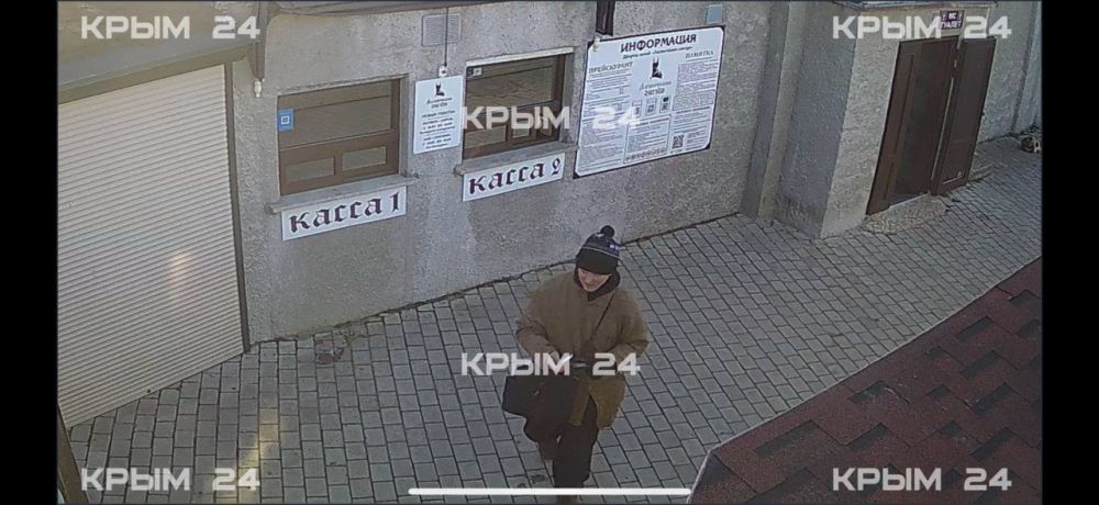 Из Ласточкиного гнезда неизвестный с обрыва выкинул кошку, жившую здесь 10 лет Из Ласточкиного гнезда неизвестный с обрыва выкинул кошку, жившую здесь 10 лет