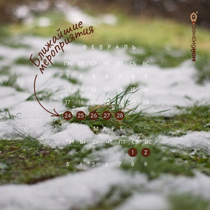 ��������� �����������: 24 ������� � 2 �����