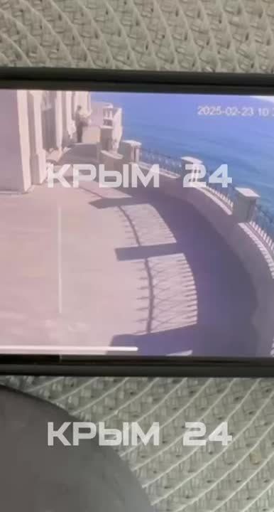 � ����� ���������� ��������� ���� ������ �������, ������������ ����� �� ��������� �������� ������������ ������