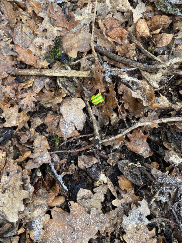 ������������ ������� � 8 ����� ������� �� ��������� �� ���� ������������� ����������