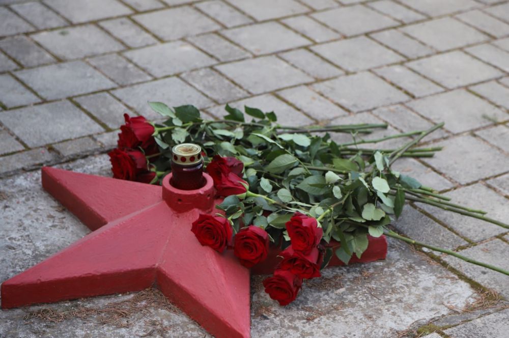 В День защитника Республики Крым в Бахчисарае на Алее Славы возложили цветы в память о героях Родины В День защитника Республики Крым в Бахчисарае на Алее Славы возложили цветы в память о героях Родины
