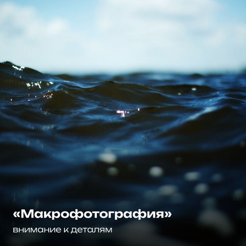 Историко-археологический музей-заповедник «Калос Лимен» приглашает профессиональных фотографов и фотолюбителей на конкурс «Мой Тарханкут» Историко-археологический музей-заповедник «Калос Лимен» приглашает профессиональных фотографов и фотолюбителей на конкурс «Мой Тарханкут»