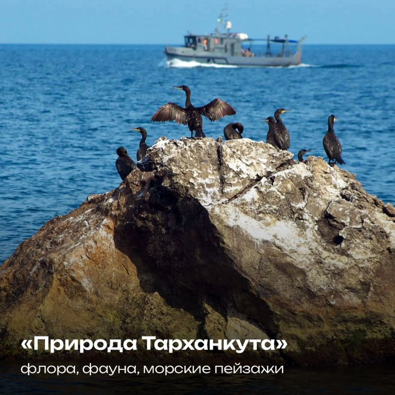Историко-археологический музей-заповедник «Калос Лимен» приглашает профессиональных фотографов и фотолюбителей на конкурс «Мой Тарханкут» Историко-археологический музей-заповедник «Калос Лимен» приглашает профессиональных фотографов и фотолюбителей на конкурс «Мой Тарханкут»
