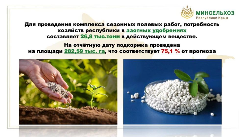 Рассказал о состоянии посевов озимых культур и проведении весенне-полевых работ в 2025 году Рассказал о состоянии посевов озимых культур и проведении весенне-полевых работ в 2025 году
