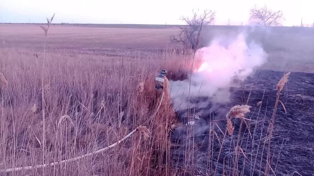 �������� �������� ������� ����� � ��������� ������