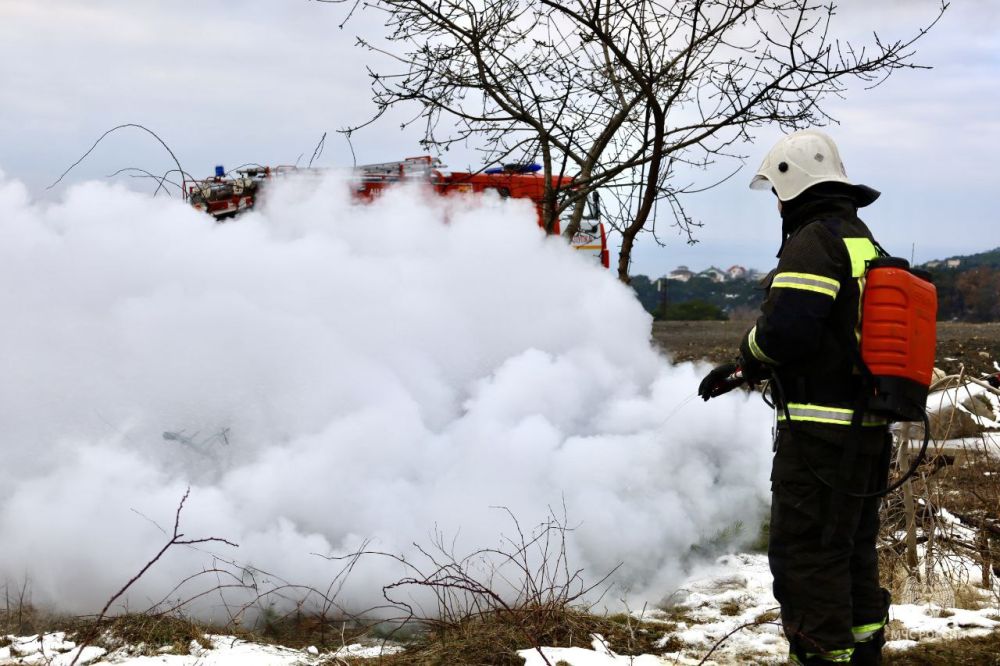 � ����� ������������� �������� ����� � �����������