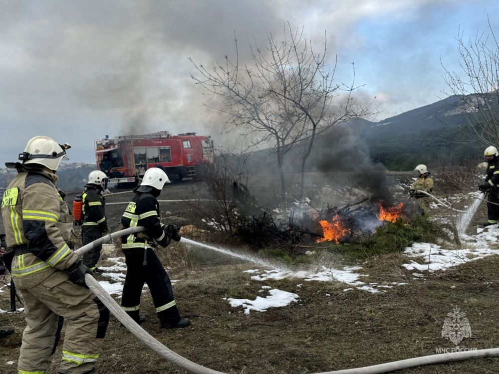 � ������ ���������� � �������������� ������ � �����, �� ���������� ������������ �����������, ������ ���������� ���������������� �������-����������� ������, ������������ �� ��������� �������� �� ������� ��������� �������...