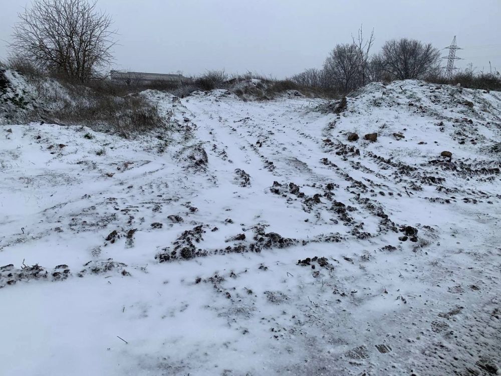 Ольга Славгородская: Рубрика «до и после» Ольга Славгородская: Рубрика «до и после»