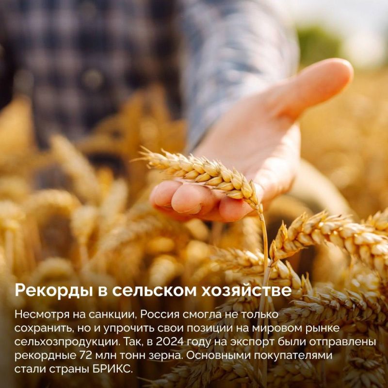 Западные санкции как стимул развития экономики Западные санкции как стимул развития экономики