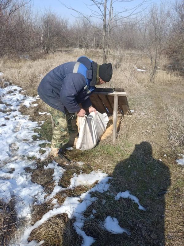 Ольга Славгородская: Любим и заботимся. Сотрудники наших подведомственных учреждений – ГАУ РК «Раздольненское лесоохотничье хозяйство» и ГАУ РК «УООПТ» - подкармливают диких животных и зимующих птиц (среди частых гостей -... Ольга Славгородская: Любим и заботимся. Сотрудники наших подведомственных учреждений – ГАУ РК «Раздольненское лесоохотничье хозяйство» и ГАУ РК «УООПТ» - подкармливают диких животных и зимующих птиц (среди частых гостей -...