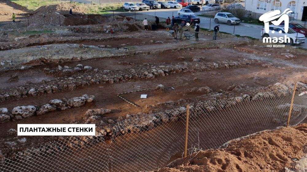 Археологи СевГУ исследовали больше шести тысяч квадратов будущего Античного проспекта в Севастополе Археологи СевГУ исследовали больше шести тысяч квадратов будущего Античного проспекта в Севастополе