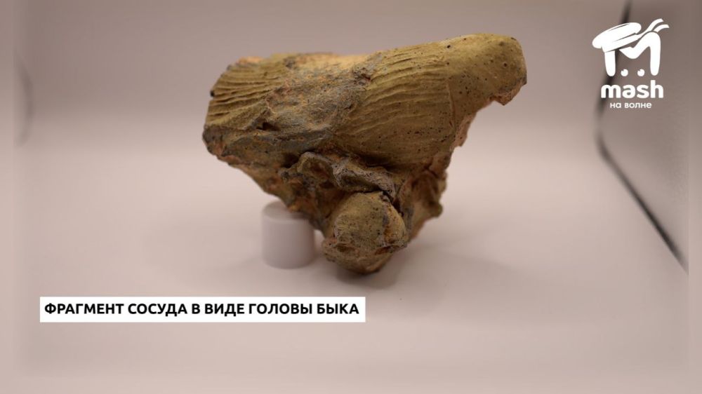 Археологи СевГУ исследовали больше шести тысяч квадратов будущего Античного проспекта в Севастополе Археологи СевГУ исследовали больше шести тысяч квадратов будущего Античного проспекта в Севастополе