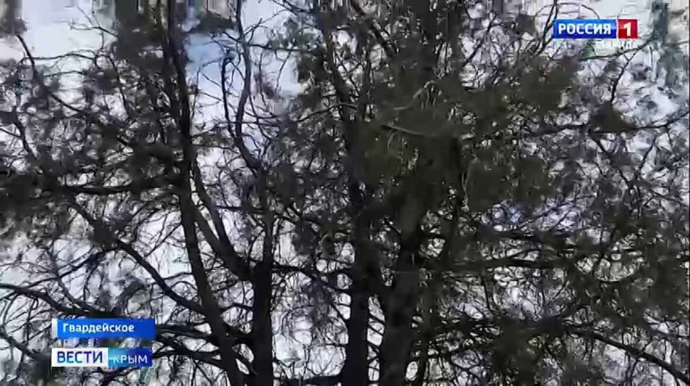 � ���� ����������� ������������� ������ ������������ ����� ������