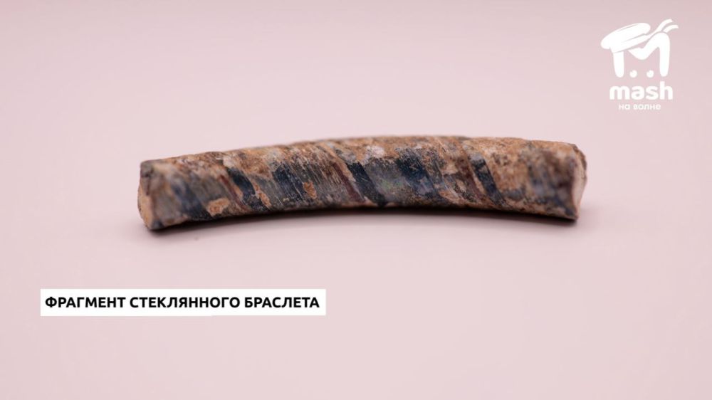 Археологи СевГУ исследовали больше шести тысяч квадратов будущего Античного проспекта в Севастополе Археологи СевГУ исследовали больше шести тысяч квадратов будущего Античного проспекта в Севастополе