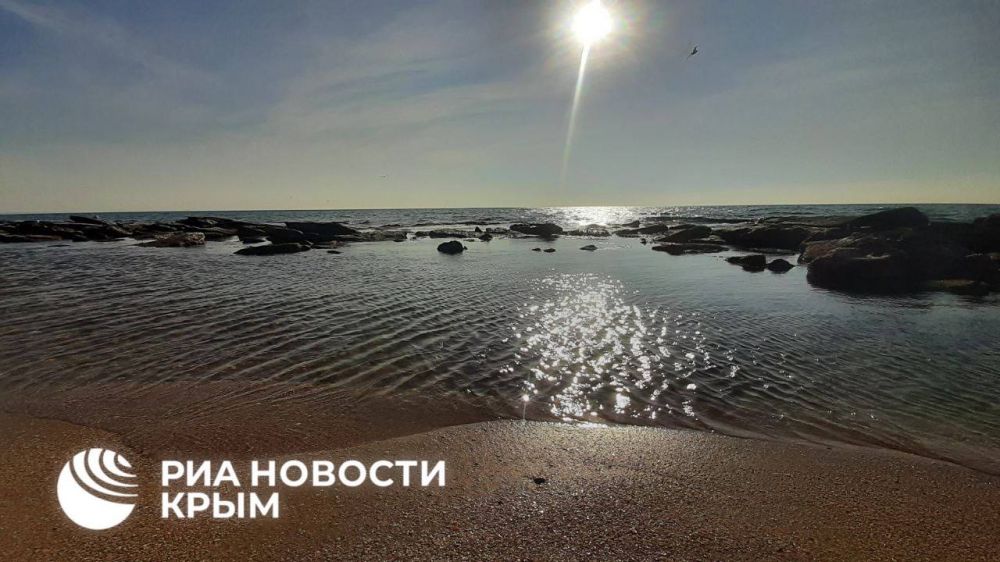 Рыбное нашествие в Феодосии оказалось не таким уж и нашествием Рыбное нашествие в Феодосии оказалось не таким уж и нашествием