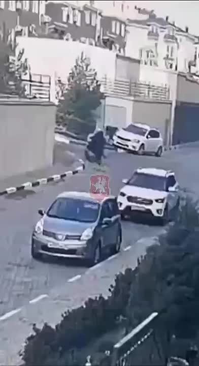 Собака набросилась на мужчину в Севастополе