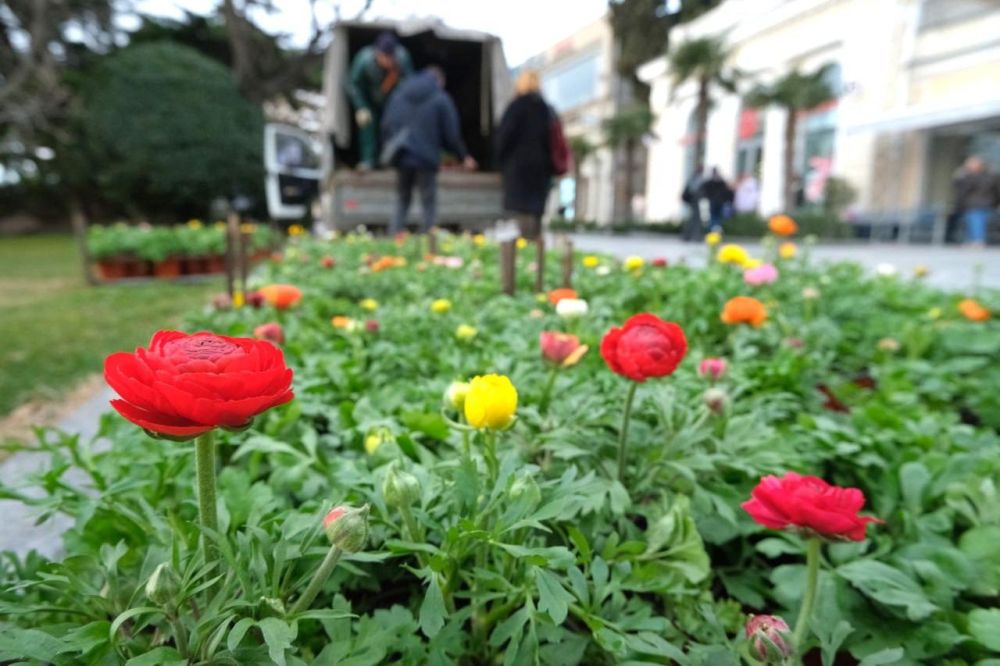 ������ 80 ����� ������ � �������� ������� � ���� � ������ ����