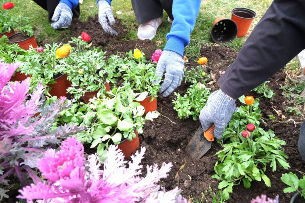 � ���� �� �������� ���� ������� ����� 70 ����� ������ � 13 ����� ������ � ��������