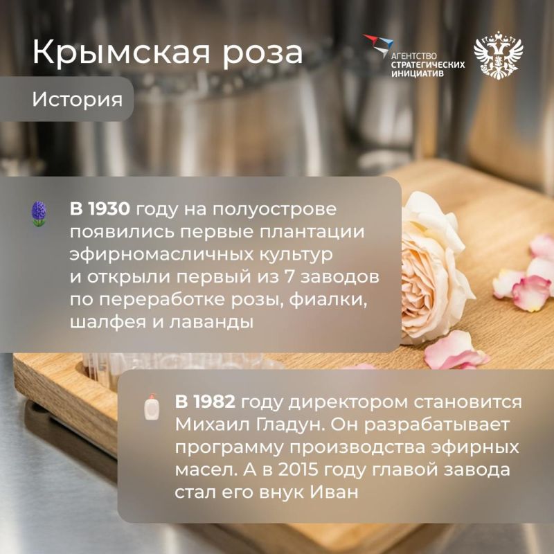 Природа — лучший дизайнер, архитектор, музыкант и художник, а ещё… специалист по сохранению красоты Природа — лучший дизайнер, архитектор, музыкант и художник, а ещё… специалист по сохранению красоты