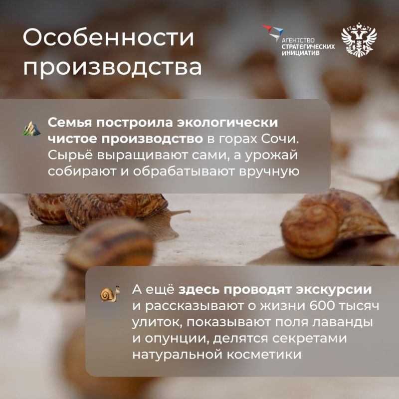 Природа — лучший дизайнер, архитектор, музыкант и художник, а ещё… специалист по сохранению красоты Природа — лучший дизайнер, архитектор, музыкант и художник, а ещё… специалист по сохранению красоты