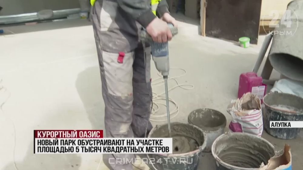 ������ �������� ����� ������ � ������ � ������ ���������� �� 55%