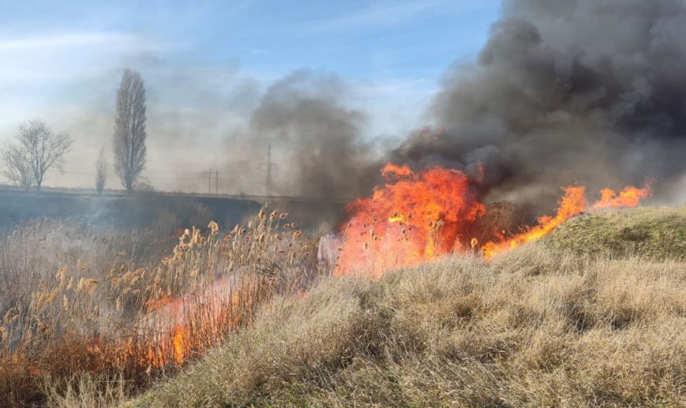 �������� ����� ����� ���������� ����� ����� � ������� ��������