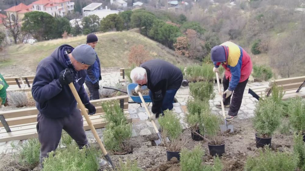 ������������������ ����������� ���� � ������ ������������ ������� � ��������� �������� �����