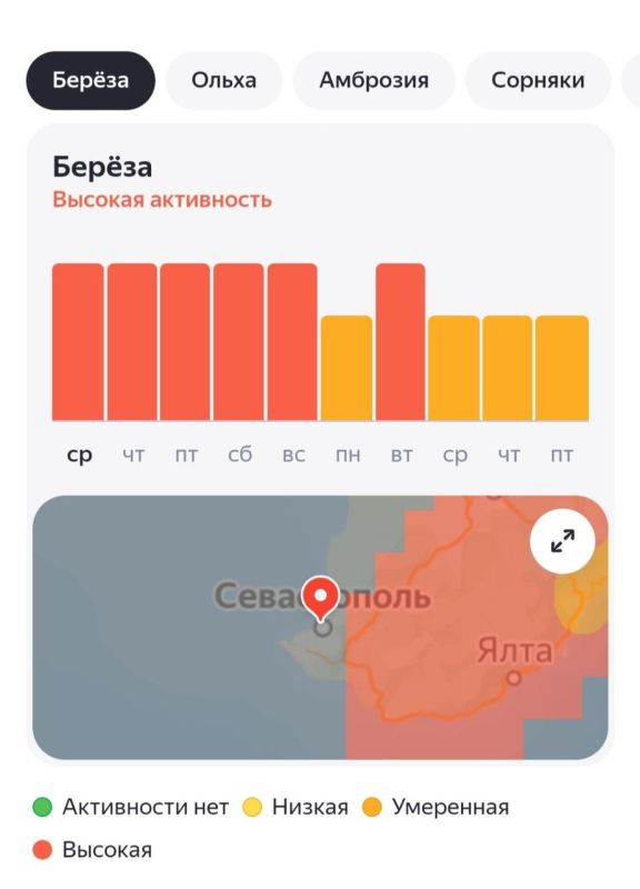 «Яндекс Погода» запустила новый сервис «Активность пыльцы» «Яндекс Погода» запустила новый сервис «Активность пыльцы»
