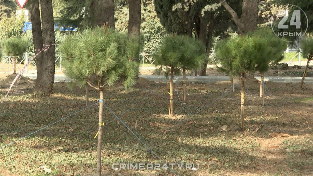 Сквер благоустроят на улице Ленина в Алуште Сквер благоустроят на улице Ленина в Алуште