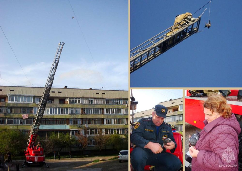 В День добрых дел делимся сердечными кадрами