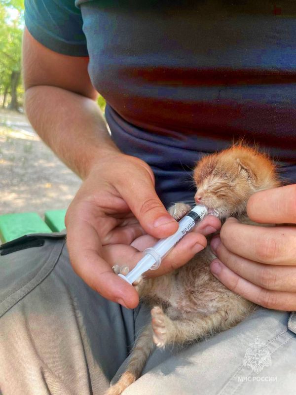 В День добрых дел делимся сердечными кадрами В День добрых дел делимся сердечными кадрами