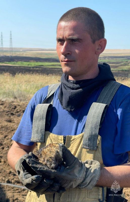 В День добрых дел делимся сердечными кадрами В День добрых дел делимся сердечными кадрами