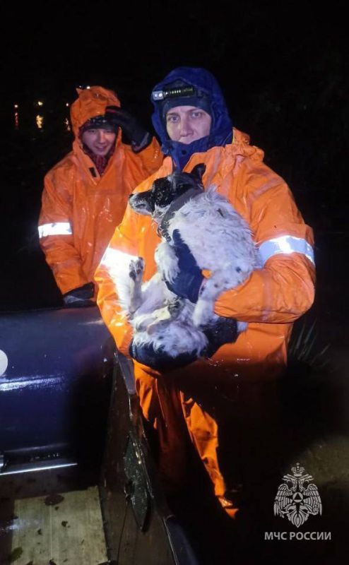 В День добрых дел делимся сердечными кадрами В День добрых дел делимся сердечными кадрами