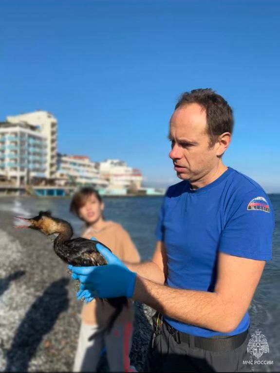 В День добрых дел делимся сердечными кадрами В День добрых дел делимся сердечными кадрами