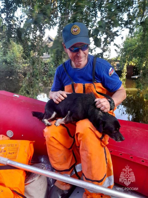 В День добрых дел делимся сердечными кадрами В День добрых дел делимся сердечными кадрами