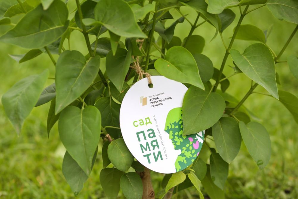 � ����� ������ ���������� ���� ������