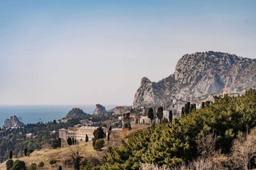 ����� ���� ������ � ���������, ������ � ���������������: � ������ �������� ����������� ����