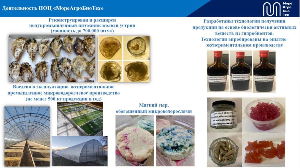 Мария Литовко: По поручению нашего Губернатора принимаю участие в стратегической сессии «Обновление проекта развития научно-образовательных центров мирового уровня на период 2025-2030 годов» Мария Литовко: По поручению нашего Губернатора принимаю участие в стратегической сессии «Обновление проекта развития научно-образовательных центров мирового уровня на период 2025-2030 годов»