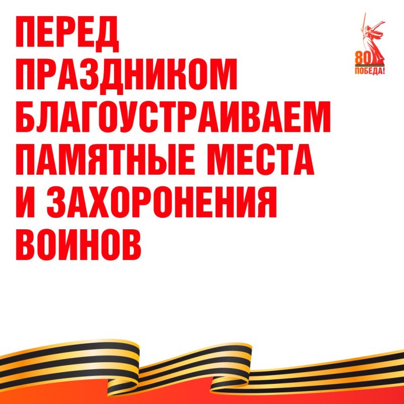  :     81-     -     