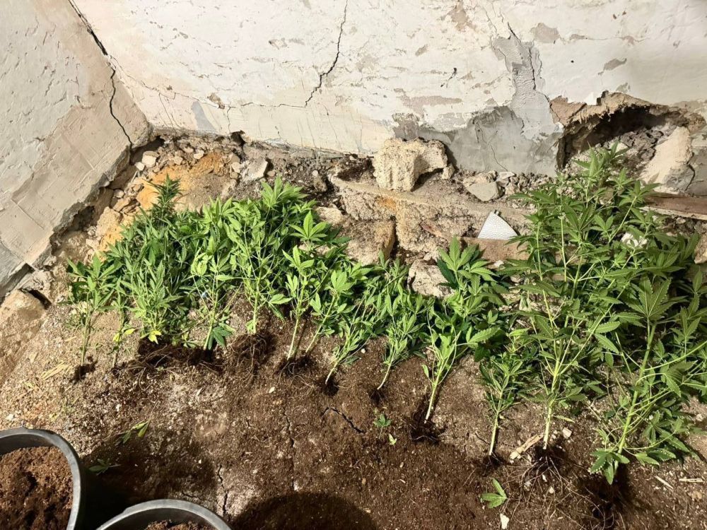 ������ ������������� ������, ������������ �������, ���������� � �������