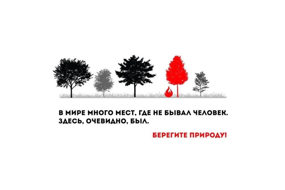 Ольга Шевцова: В России стартовала федеральная информационная противопожарная кампания «Останови огонь!» Ольга Шевцова: В России стартовала федеральная информационная противопожарная кампания «Останови огонь!»