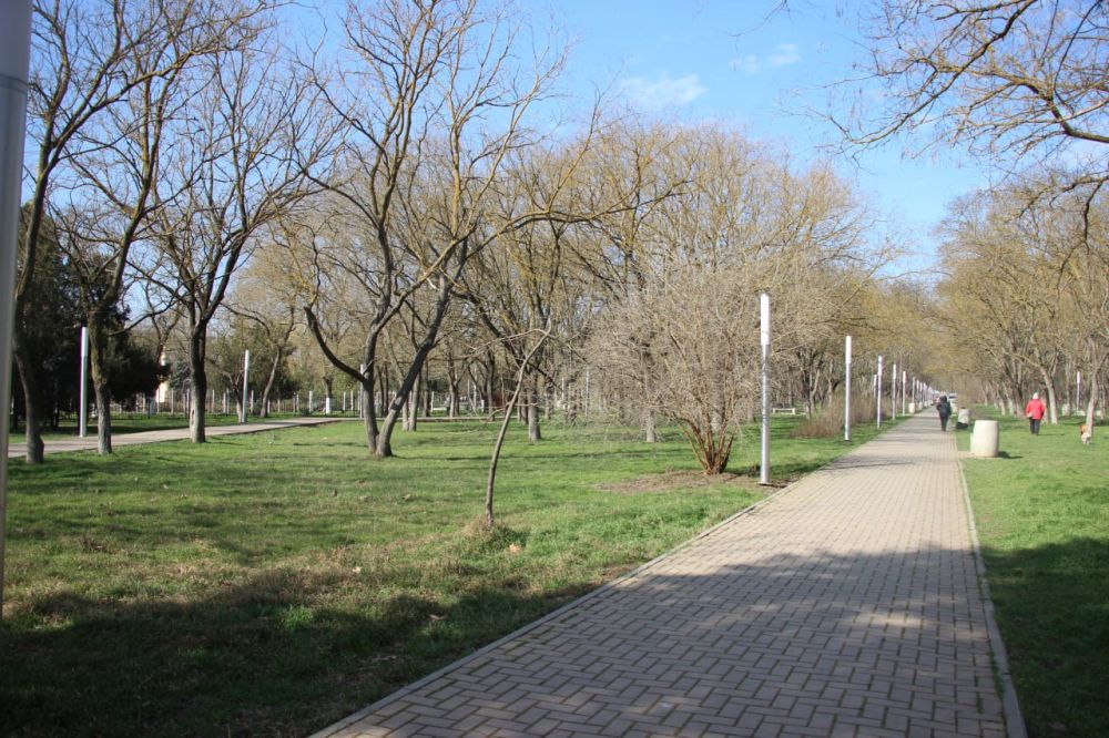 #жкх. В Комсомольском парке началась работа по прокладке трубы для ливневой канализации #жкх. В Комсомольском парке началась работа по прокладке трубы для ливневой канализации