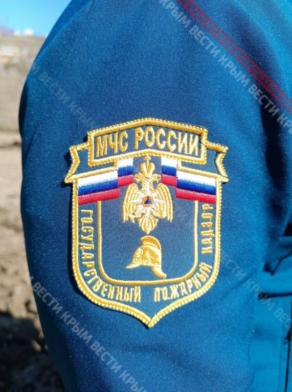 В Алуште стартовала опашка лесных территории В Алуште стартовала опашка лесных территории
