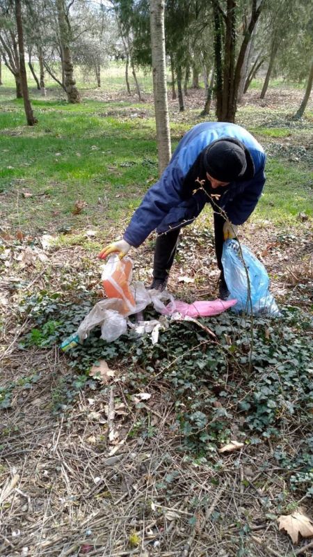 В социальных сетях поступило обращение о возникновении стихийной свалки мусора в зелёной зоне на улице Беспалова В социальных сетях поступило обращение о возникновении стихийной свалки мусора в зелёной зоне на улице Беспалова