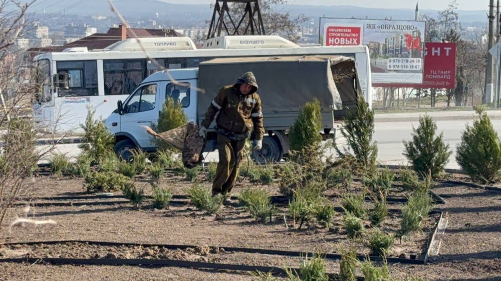 В Керчи приступили к активным работам по озеленению В Керчи приступили к активным работам по озеленению