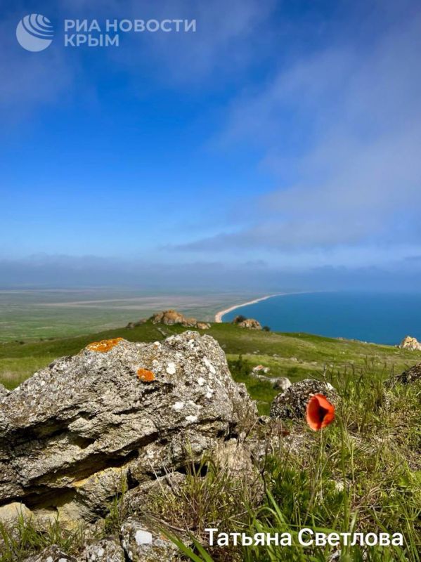 Крымских красот очень много, но ваших фото еще больше Крымских красот очень много, но ваших фото еще больше