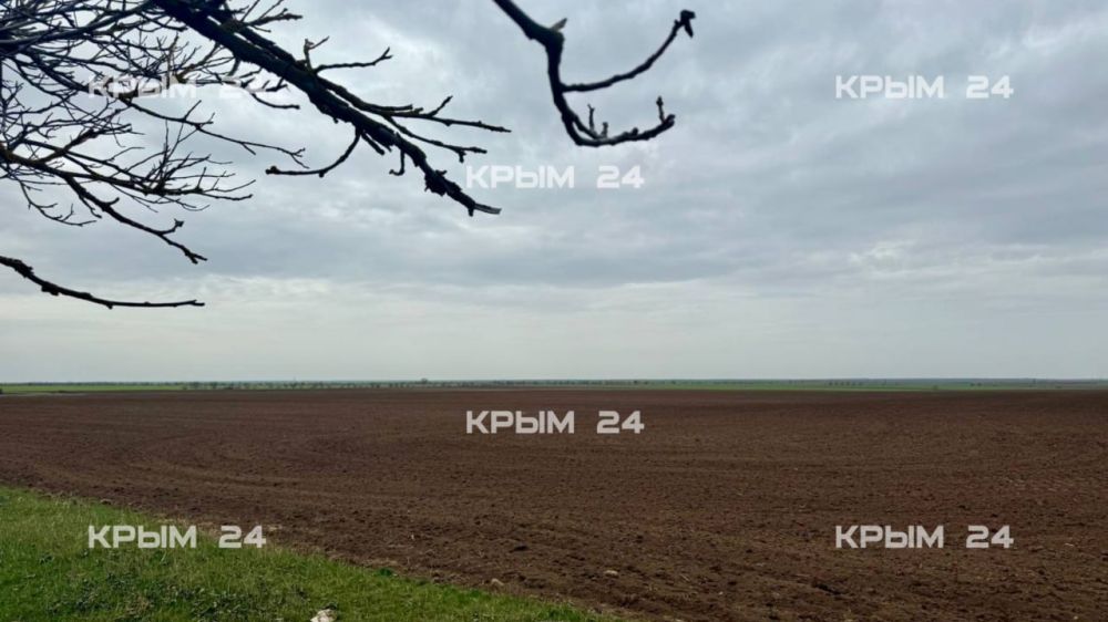В Крыму сев подсолнечника стартовал раньше срока В Крыму сев подсолнечника стартовал раньше срока