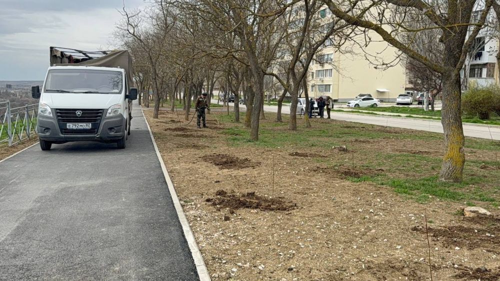 Сотрудники зеленхоза приступили к очередному этапу весеннего озеленения города - высадке молодых деревьев Сотрудники зеленхоза приступили к очередному этапу весеннего озеленения города - высадке молодых деревьев
